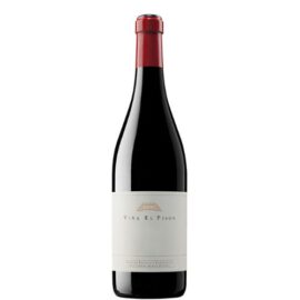 VIÑA EL PISON 2021 MAGNUM
